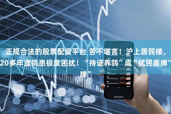 正规合法的股票配资平台 苦不堪言！沪上居民楼，20多年遭鸽患极度困扰！“持证养鸽”成“扰民盾牌”