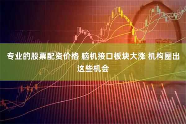 专业的股票配资价格 脑机接口板块大涨 机构圈出这些机会