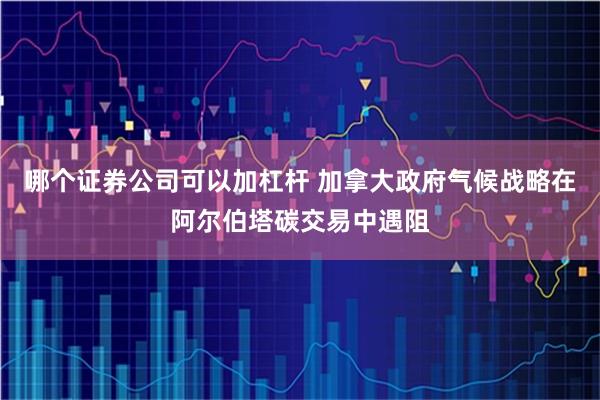 哪个证券公司可以加杠杆 加拿大政府气候战略在阿尔伯塔碳交易中遇阻