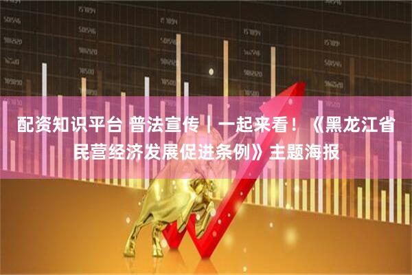 配资知识平台 普法宣传｜一起来看！《黑龙江省民营经济发展促进条例》主题海报